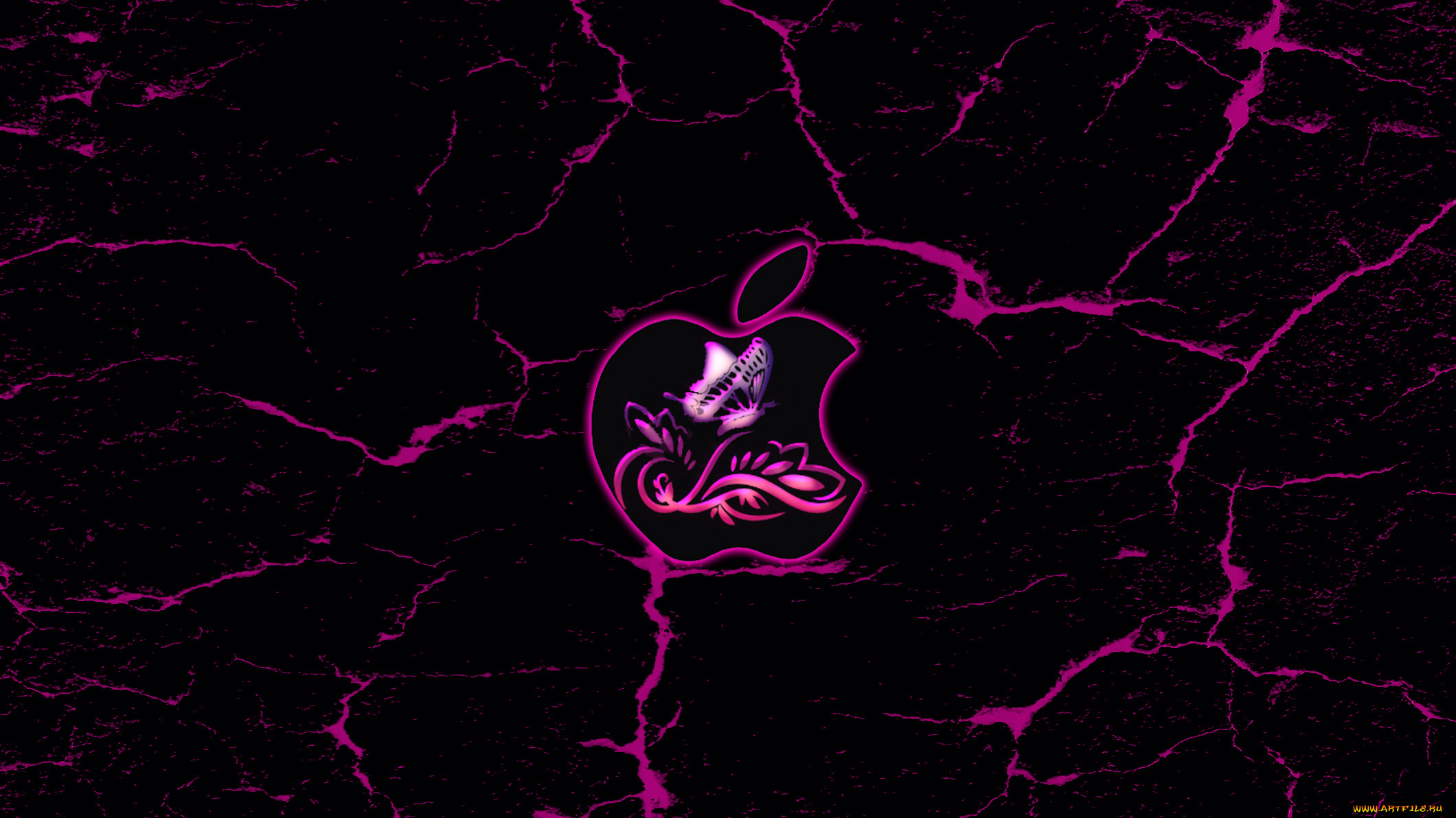 , apple, , 